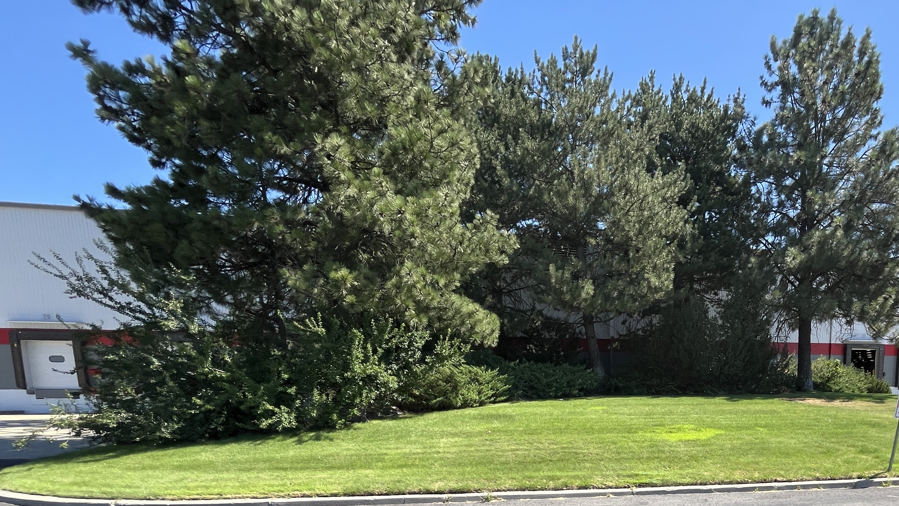 Commercial lawn mowing service — office park in Spokane Valley, WA