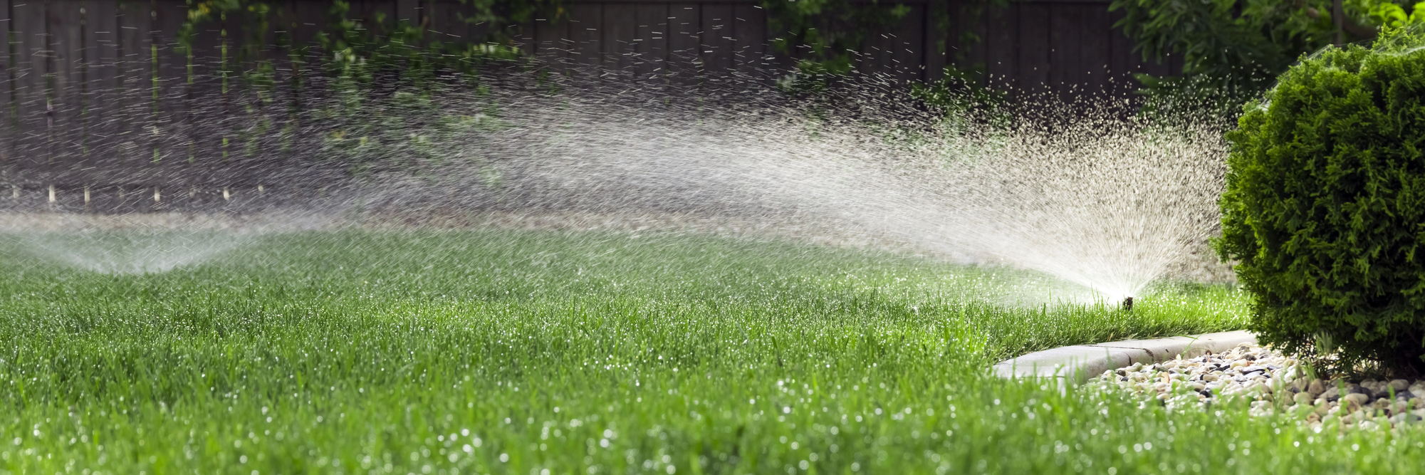 Beautifully manicured residential lawn in Spokane Valley, WA